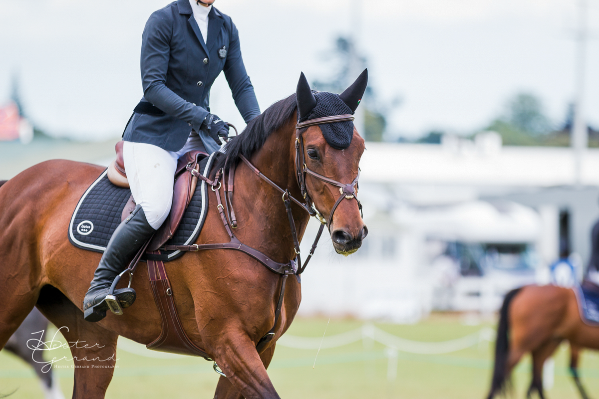 A rider in equestrian competition attire sits on a brown horse during a race or event, with a blurred outdoor arena and another horse in the background.